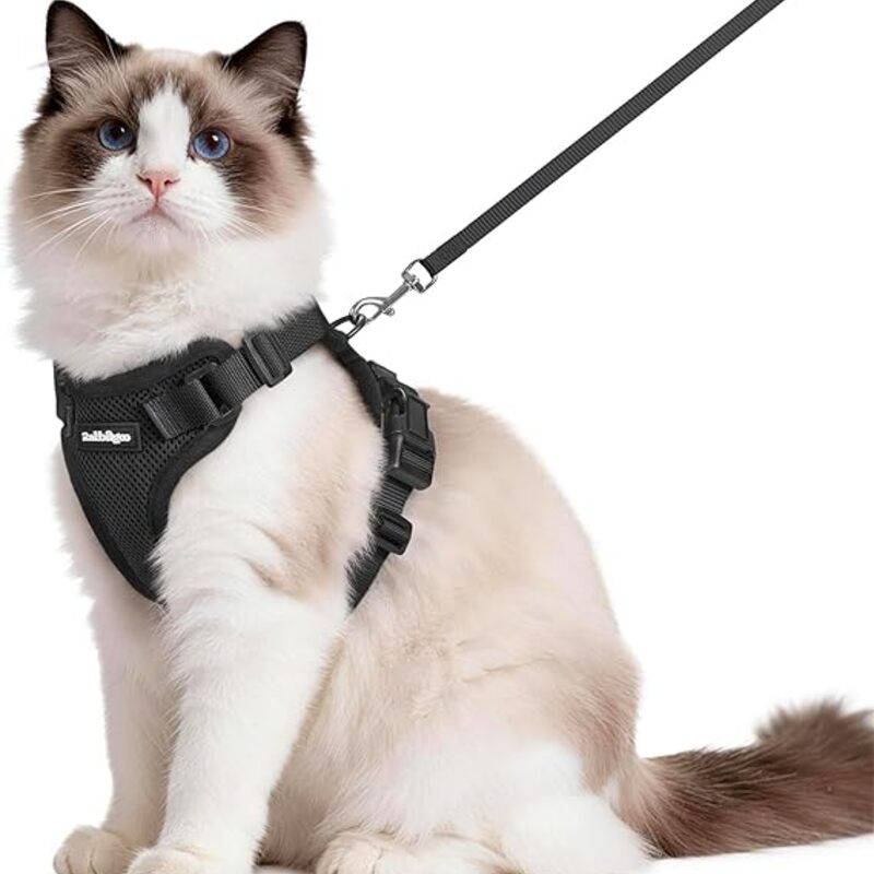 rabbitgoo Cat Harness and Leash for Walking, Escape Proof