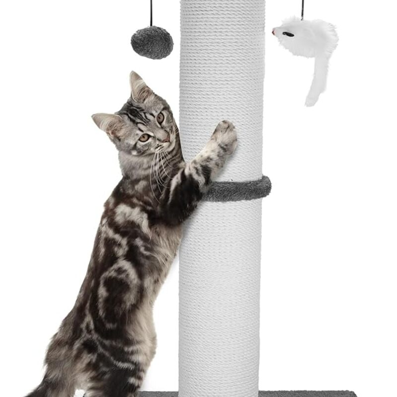 Cat Scratching Post 34 Inches Heavy Duty and Thicker Cat