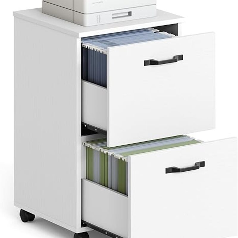VASAGLE 2-Drawer File Cabinet, Small Rolling Filing