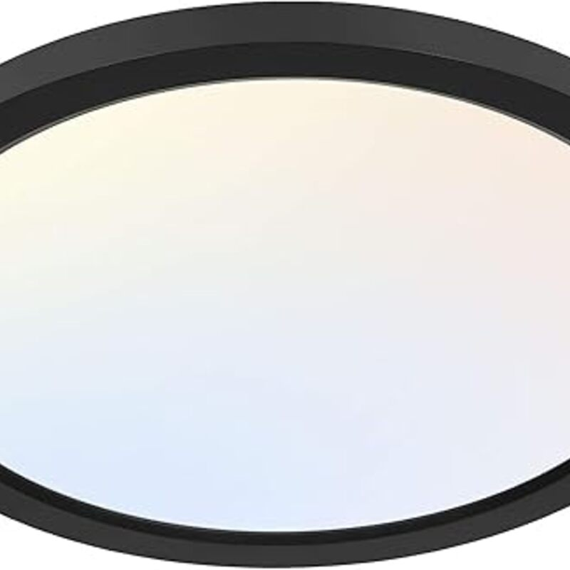 hykolity 12 Inch Selectable CCT LED Round Flat Panel