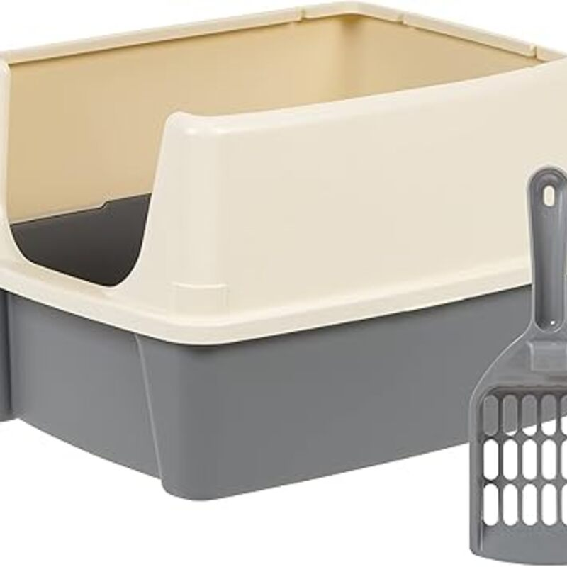 Amazon Basics Large Cat Litter Box with High Sides, Open