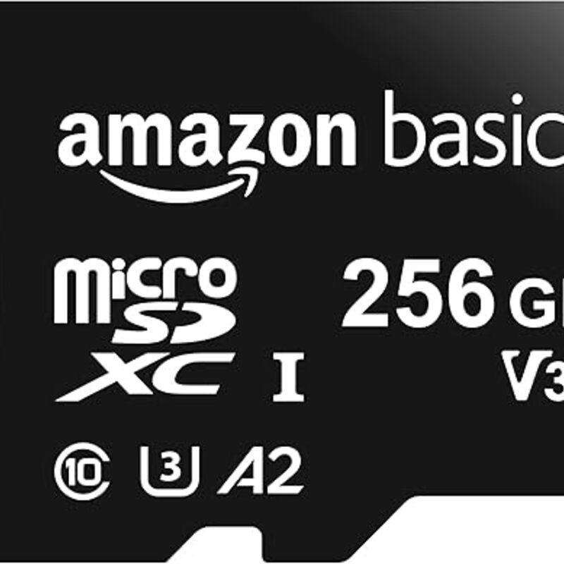 Amazon Basics Micro SDXC Memory Card with Full Size Adapter,