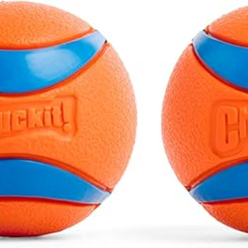 Chuckit! Ultra Ball Dog Toy - Medium Bouncy Fetch Balls